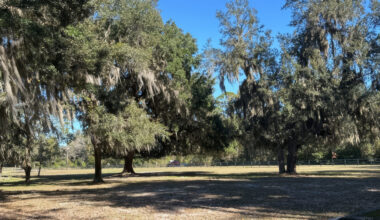 Deer Creek Plantation