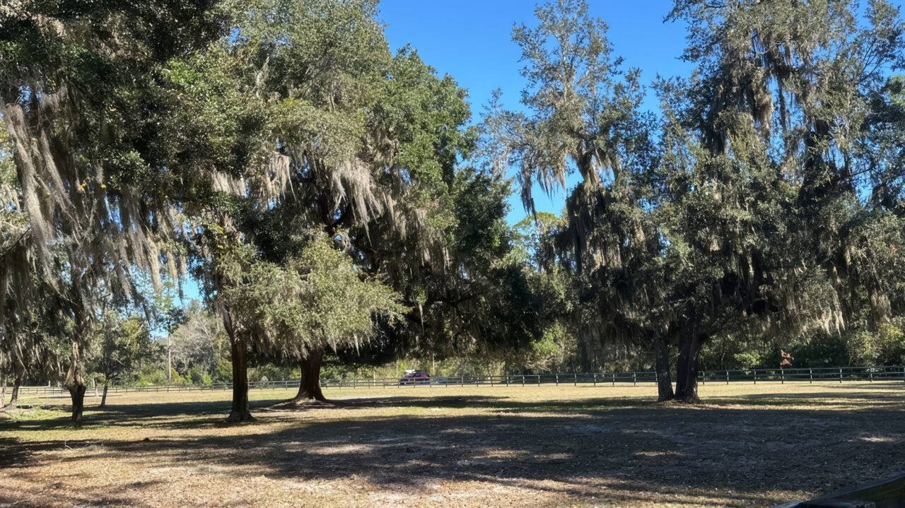 Deer Creek Plantation