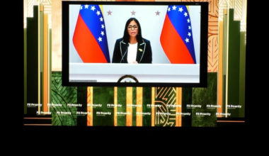 A photo of a bespectacled woman flanked by Venezuelan flags and appearing via video call on a large TV screen.