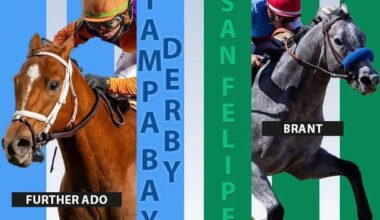 San Felipe, Tampa Bay Derby