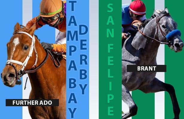 San Felipe, Tampa Bay Derby