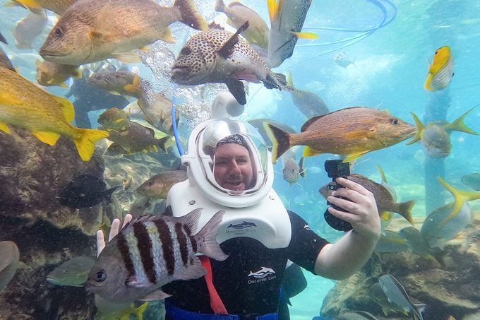Discovery Cove Sw Dc Seaventure 8540401 092325 000317557