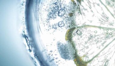 Florida bans these foods from SNAP next month