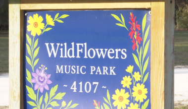 Your stories to look out for in North Central Florida