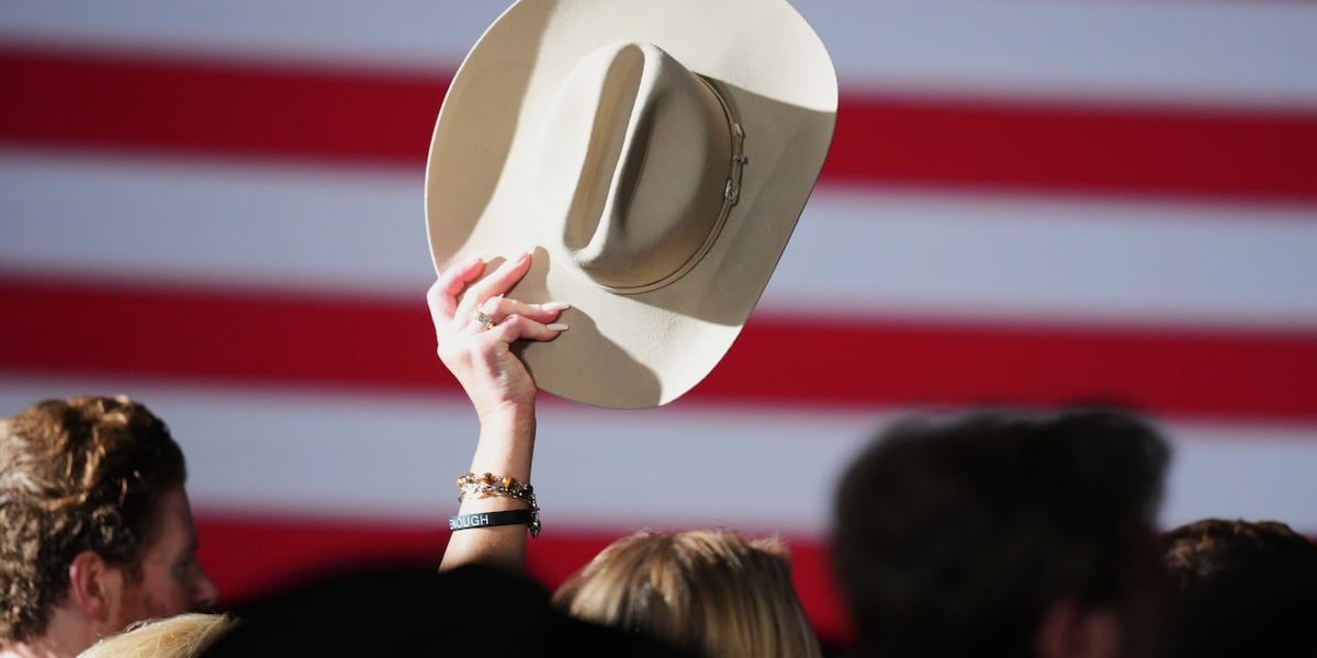 Takeaways from the first elections of the 2026 midterm campaigns