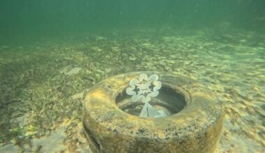 Art And Ocean Awareness In Miami