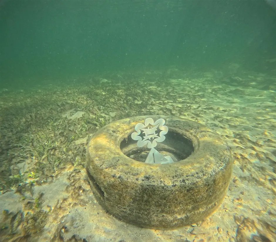 Art And Ocean Awareness In Miami