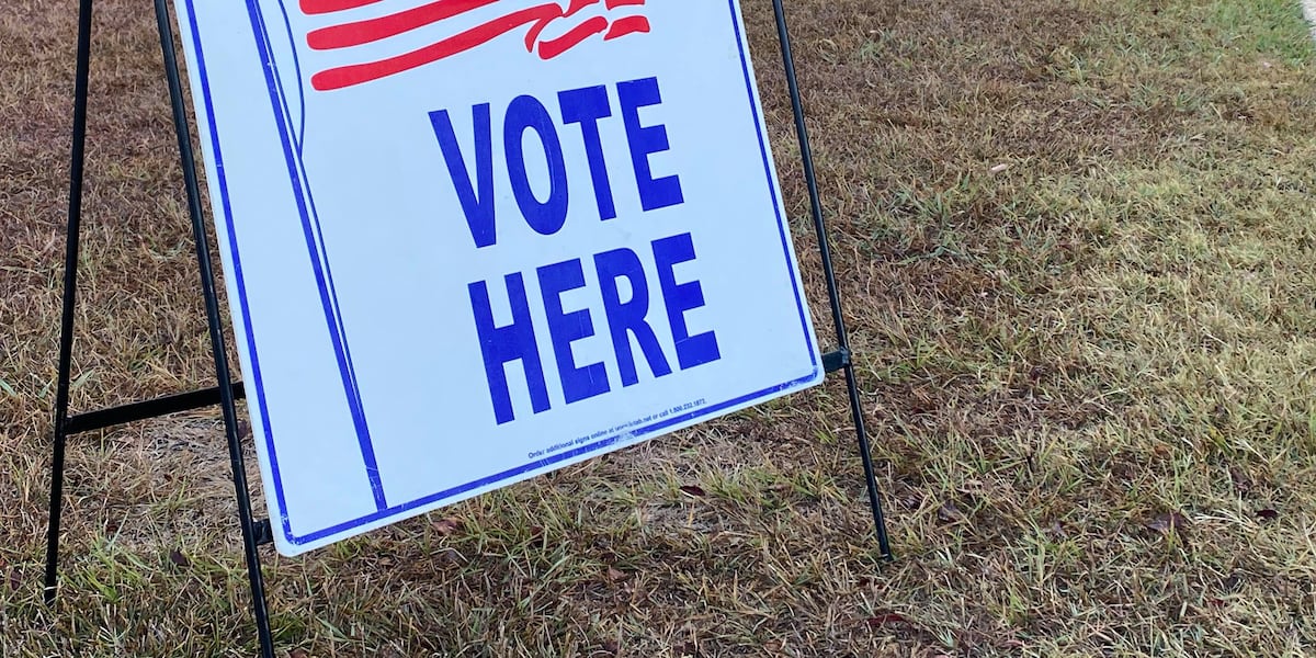 Some Leon County voters could be casting ballots at different locations this election season