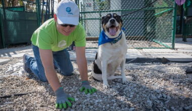 FPL volunteers help enhance grounds at Humane Society