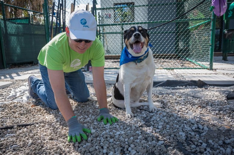FPL volunteers help enhance grounds at Humane Society