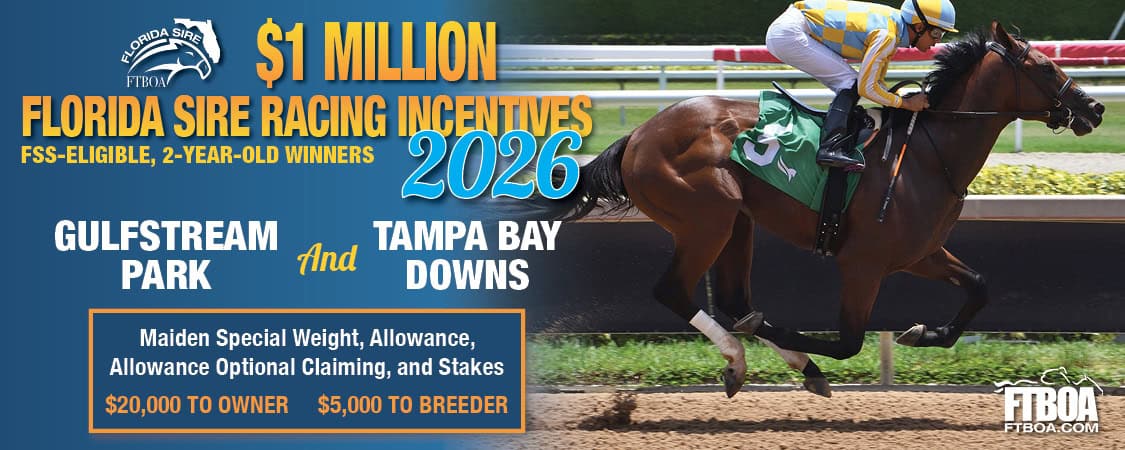 Rectangular ad detailing information for the new $1 Million Florida Sire Racing Incentives Program for the FTBOA. The ad is based around a right-aligned image of the Florida-bred Thoroughbred Strategic Risk (photo by ©Ryan Thompson) with overlapping orange, white, and yellow text aligned to the left of the graphic. More information for the new program can be found at ftboa.com.