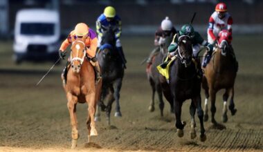 Further Ado Has Experience Edge Over Tampa Bay Derby Rivals