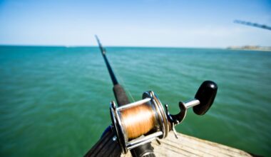 Florida To Build New Sunshine Skyway Fishing Pier on Manatee Side, Renovate Pinellas Structure