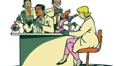 Inside the National MagLab | Flamingo Magazine