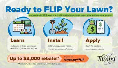 University of Florida, Hillsborough workshop incentivizes 'water-wise' lawns amid drought