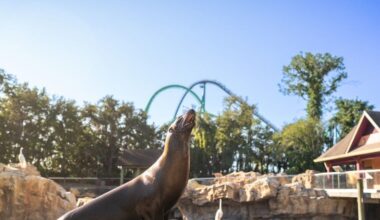 Best Theme Park Entertainment