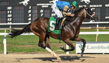 Florida-bred Thoroughbred Flood Zone, ridden by jockey Samy Camacho, gallops to the wire at Tampa Bay Downs, scoring a second condition, $32,000 optional claiming going seven furlongs on Saturday, February 28, 2026. (Photo: ©SV Photography)