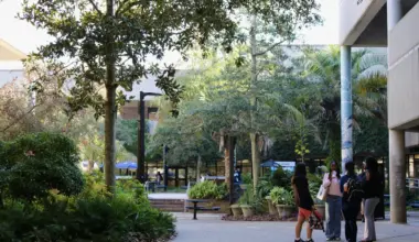 What’s open during Spring Break?