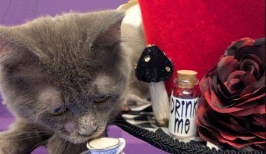 Five ways to give back and get involved in your community