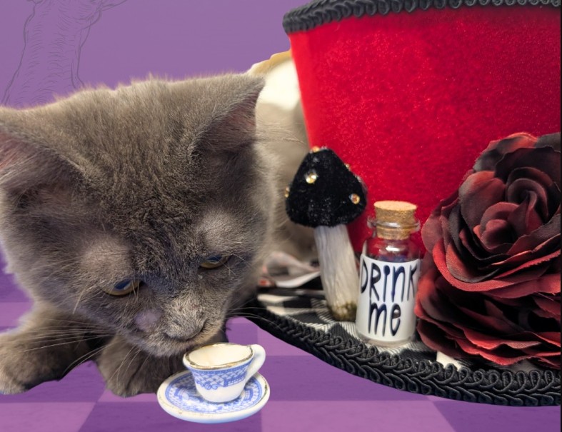 Five ways to give back and get involved in your community