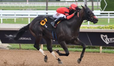 Bidding Open for Inglis Digital USA Curlin Florida Derby Sale