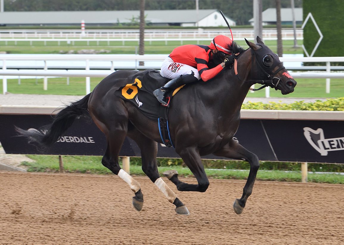 Bidding Open for Inglis Digital USA Curlin Florida Derby Sale