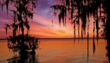 Taste of summer on the way to Central Florida