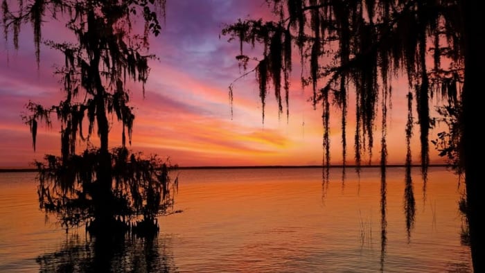 Taste of summer on the way to Central Florida