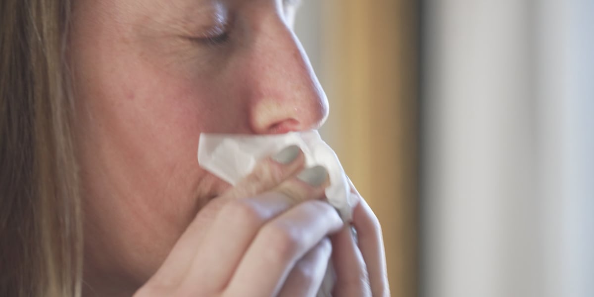 Tallahassee physician shares tips on managing spring allergies