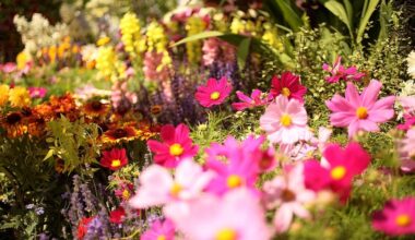 One-Acre Flower Farm Opens in St. Pete's Warehouse Arts District