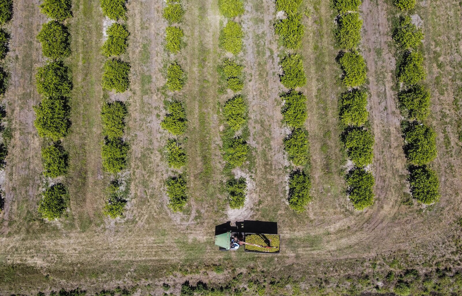 With its new farm bill, Florida’s climate fight just hit a tractor-sized roadblock