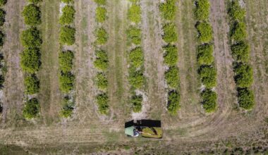 With its new farm bill, Florida’s climate fight just hit a tractor-sized roadblock