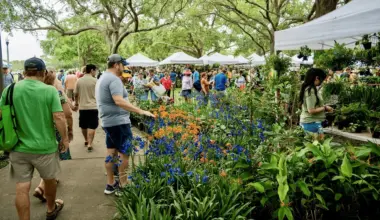 The Green Thumb Festival, St. Pete’s annual Arbor Day celebration, returns next month