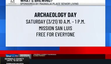 What’s Brewing - Archaeology Day