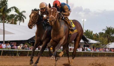 Preview of Florida and Arkansas derbies – Saratogian