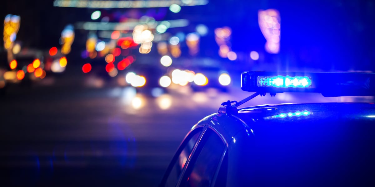 3 killed, including 2 children, in I-75 crash