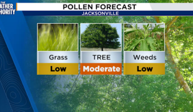 As March begins, all eyes are on warmer days, more sunshine, and allergies