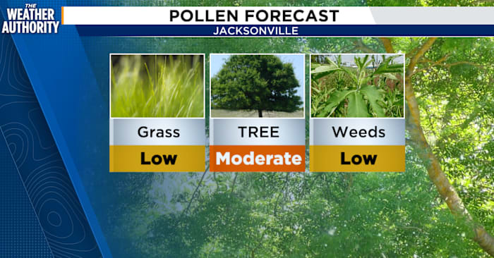 As March begins, all eyes are on warmer days, more sunshine, and allergies
