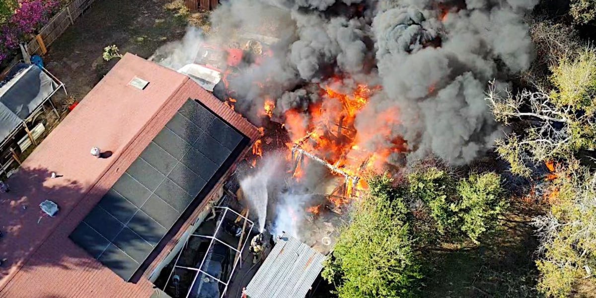 Homeowner sustains smoke inhalation, three dogs rescued following Villamore Avenue structure fire