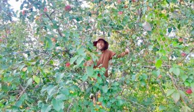 The Earth is my garden: How I am living on foraged food for a year