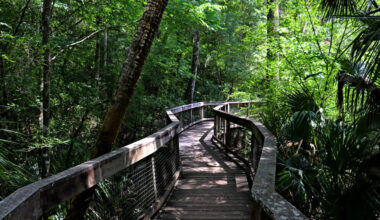 Coalition calls on Florida Legislature to address $759 million backlog of state park repairs