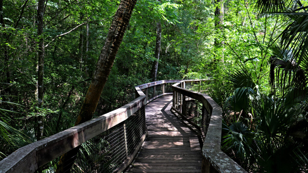 Coalition calls on Florida Legislature to address $759 million backlog of state park repairs