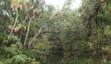 Hillsborough River State Park