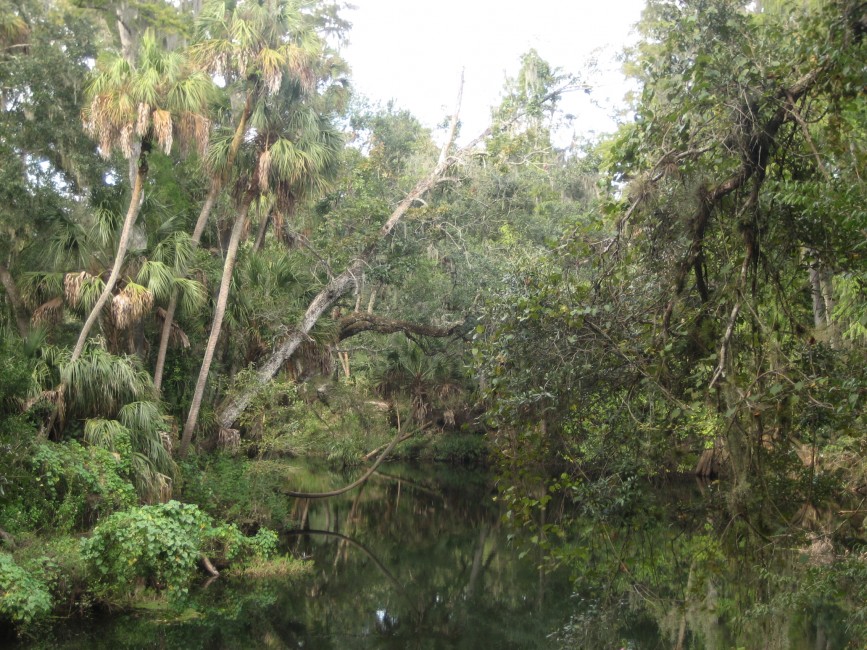 Hillsborough River State Park