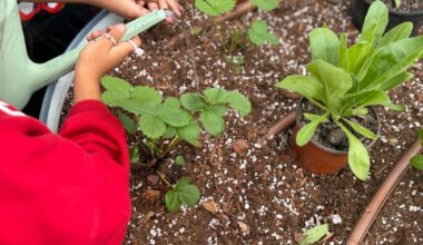 House of Hope Unveils Three Teaching Gardens