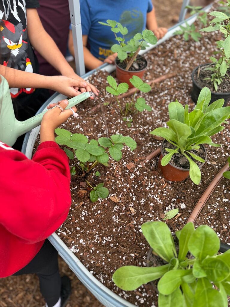 House of Hope students in the gardens. Photo courtesy of House of Hope