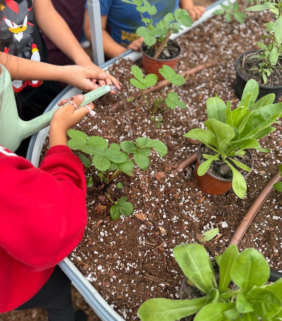 House of Hope Unveils Three Teaching Gardens