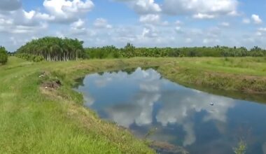 A water park in your neighborhood? Tallahassee takes aim at Miami-Dade development rules