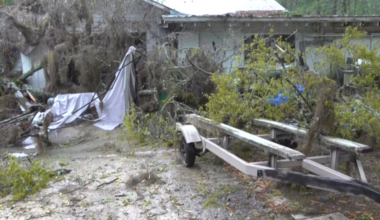 Tree slams into Crawfordville family’s garage, smashing car windows after severe morning storms