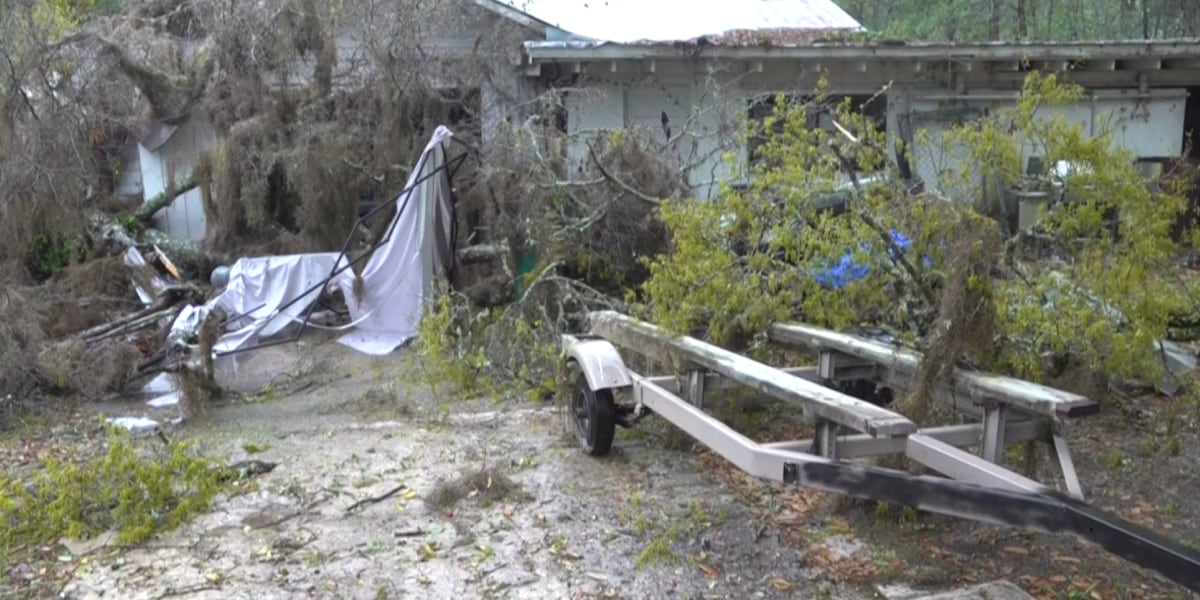 Tree slams into Crawfordville family’s garage, smashing car windows after severe morning storms
